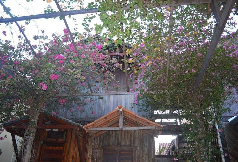 Hostel Pousada Encantos Da Amazônia