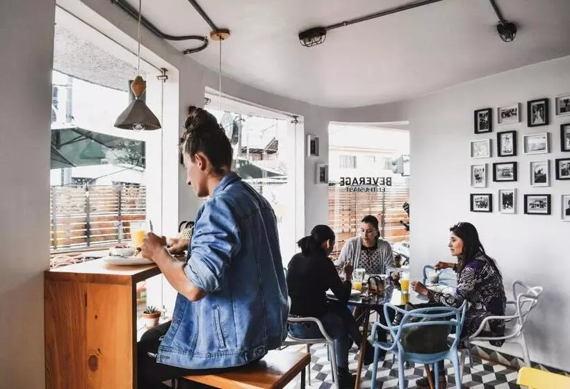 تختخواب و صبحانه Alternative Hostels