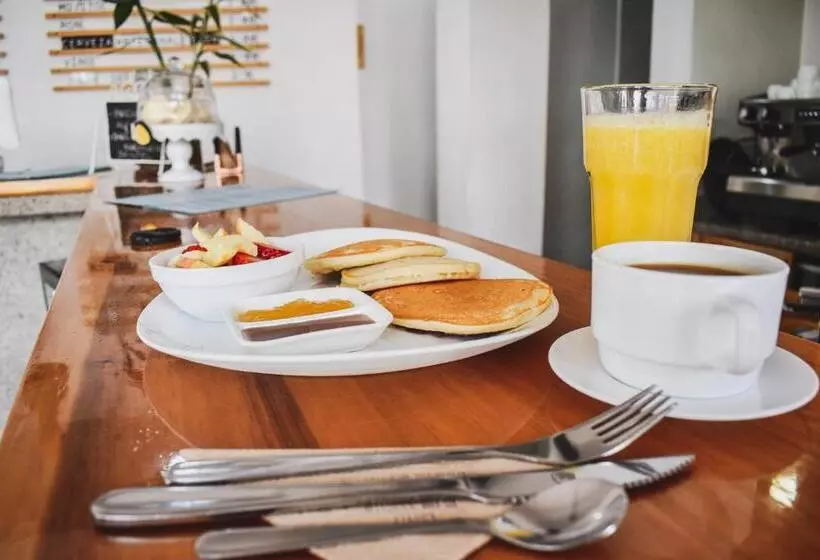 تختخواب و صبحانه Alternative Hostels