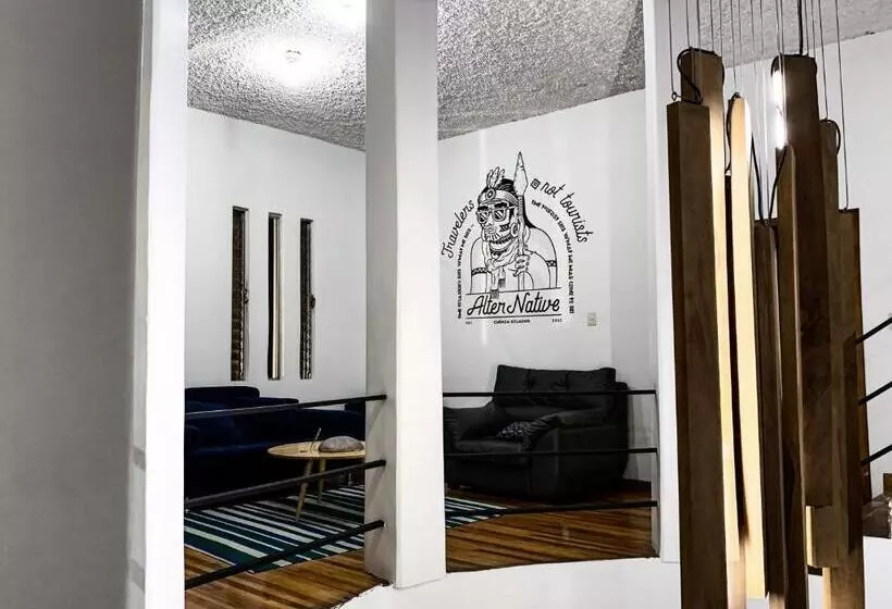 تختخواب و صبحانه Alternative Hostels