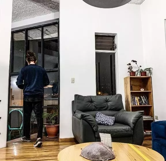 تختخواب و صبحانه Alternative Hostels