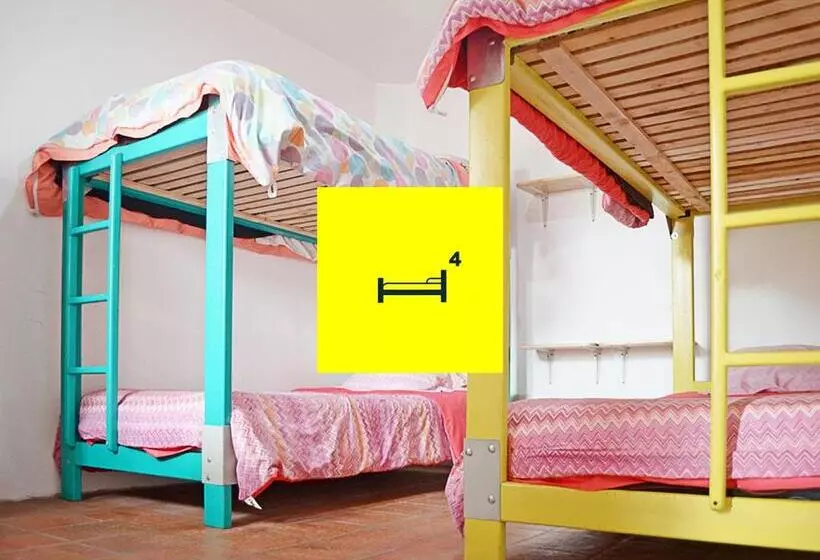 تختخواب و صبحانه Alternative Hostels