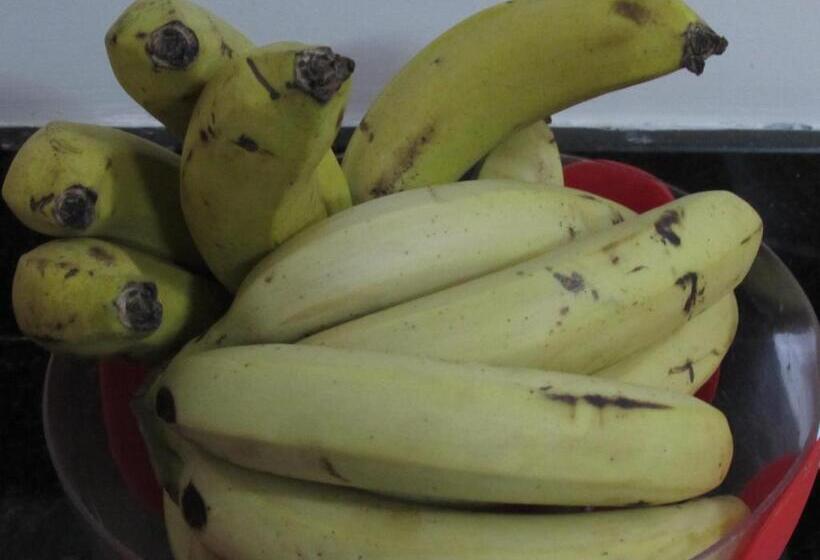 هتل Ideal Flíper Com Estacionamento Grátis Para Carro Pequeno Altura Padrão Internet Fibra