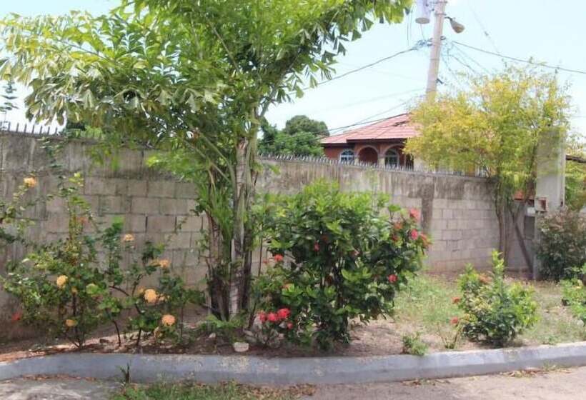 هاستل Belleh23 Kingston Creative Guesthouse