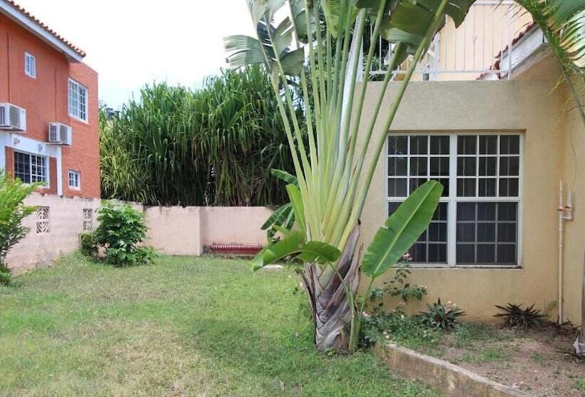 هاستل Belleh23 Kingston Creative Guesthouse