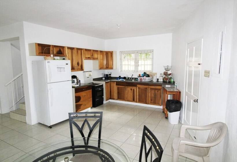 هاستل Belleh23 Kingston Creative Guesthouse