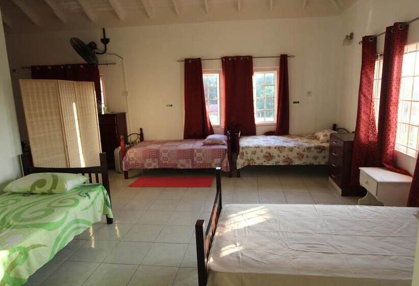 هاستل Belleh23 Kingston Creative Guesthouse