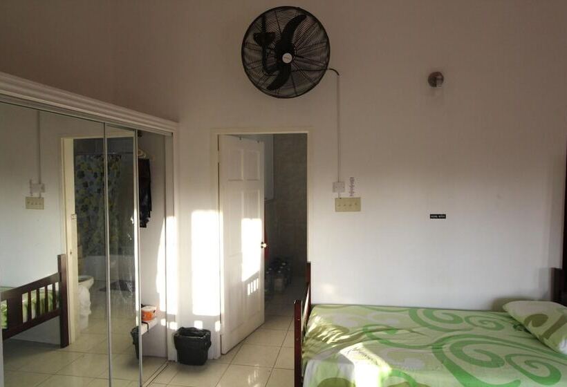 هاستل Belleh23 Kingston Creative Guesthouse