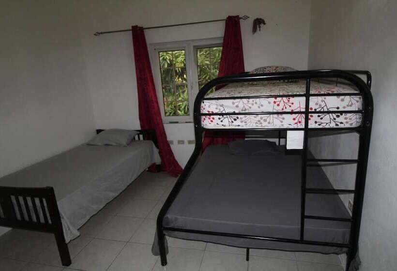 هاستل Belleh23 Kingston Creative Guesthouse