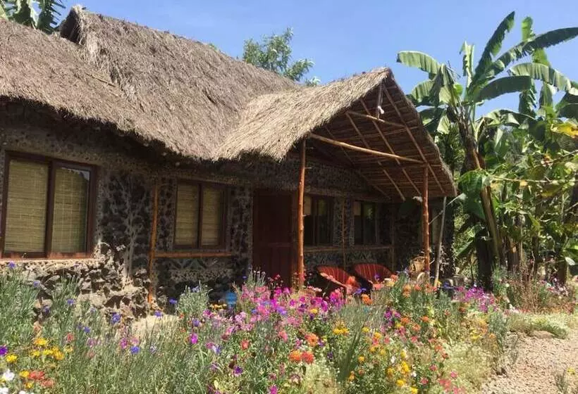 هاستل Mt. Kenya Riverside Retreat