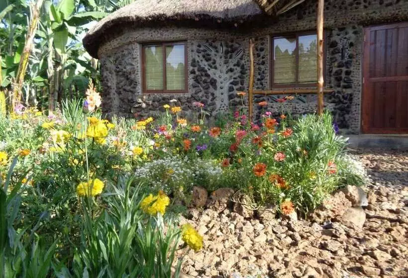 هاستل Mt. Kenya Riverside Retreat