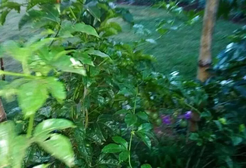 هاستل Mt. Kenya Riverside Retreat