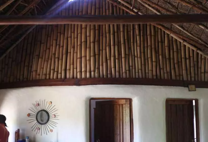 هاستل Mt. Kenya Riverside Retreat