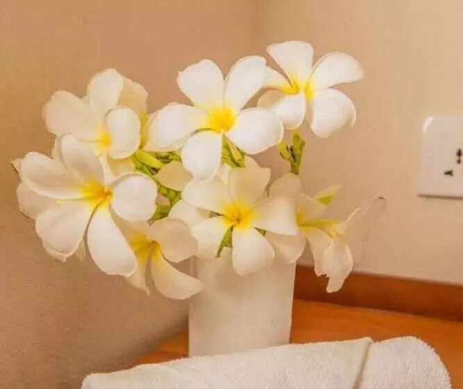 Nikara Nature Resort