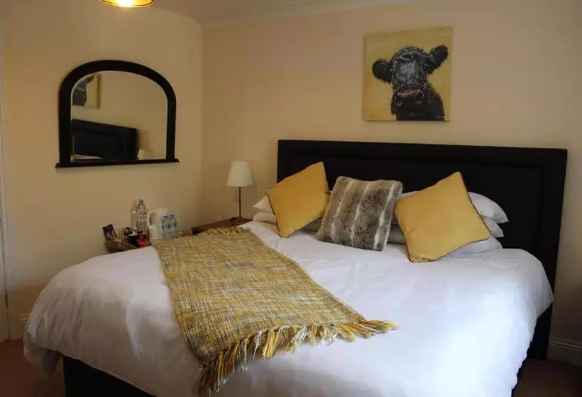 Graceland Farm B&b