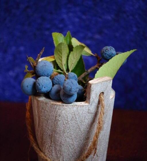 ホテル Agriturismo Essentia Dimora Rurale