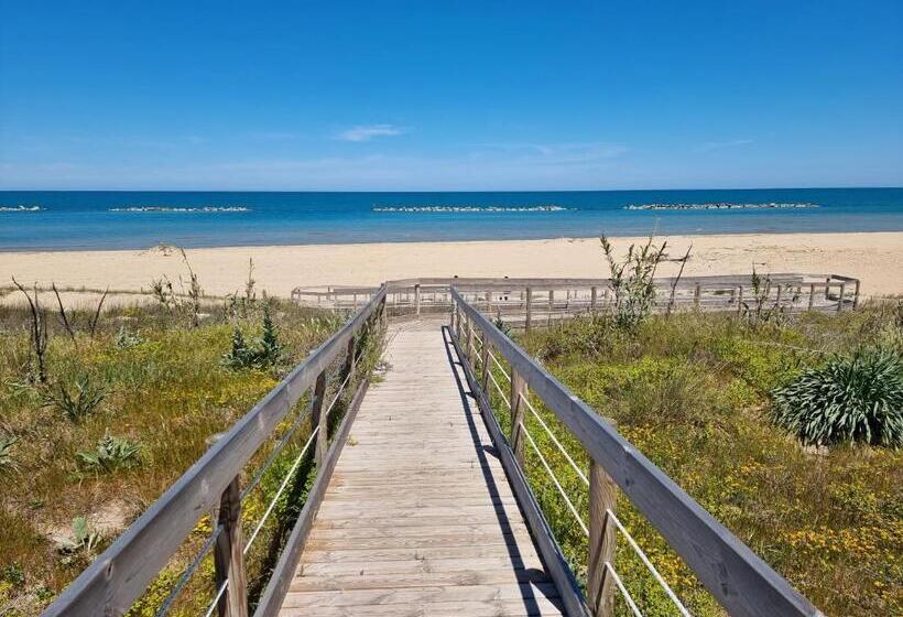 ホテル Agriturismo Essentia Dimora Rurale