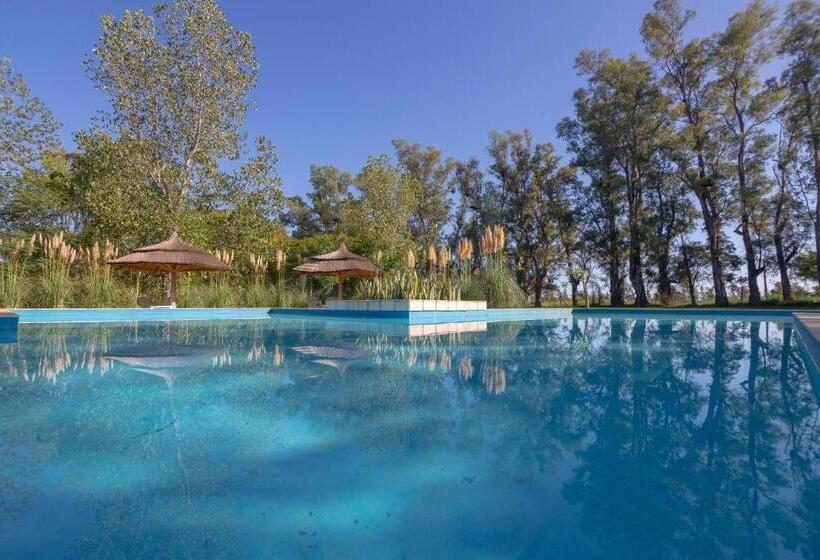 Solares De La Laguna