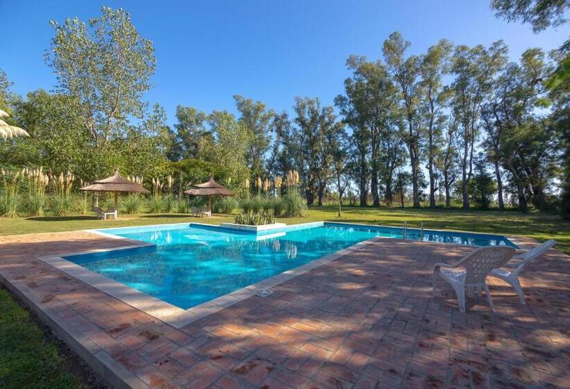 Solares De La Laguna