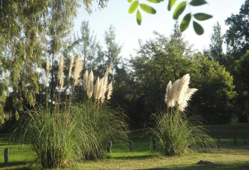 Solares De La Laguna