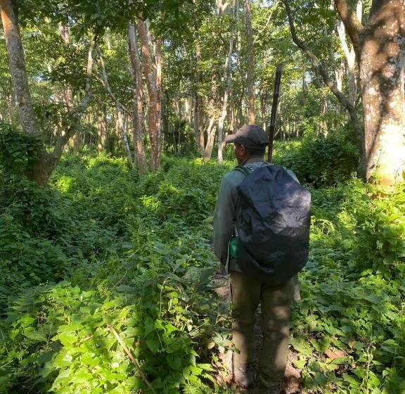 هاستل Happy Lemon Tree Lodge