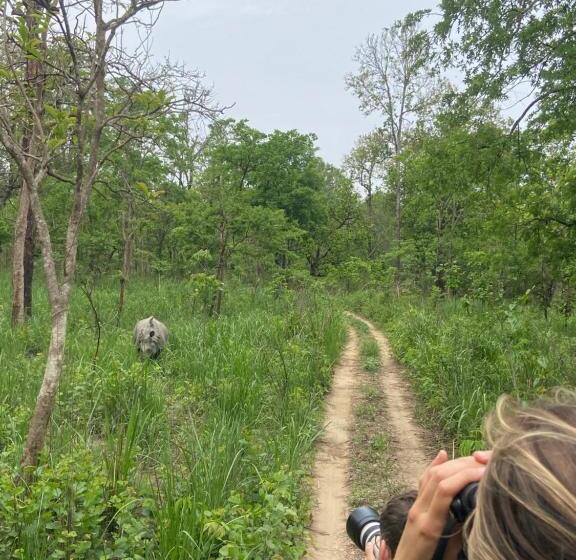 هاستل Happy Lemon Tree Lodge