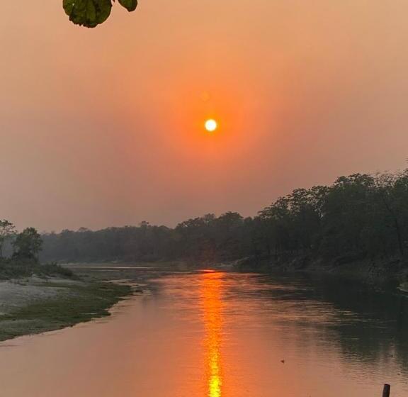 هاستل Happy Lemon Tree Lodge