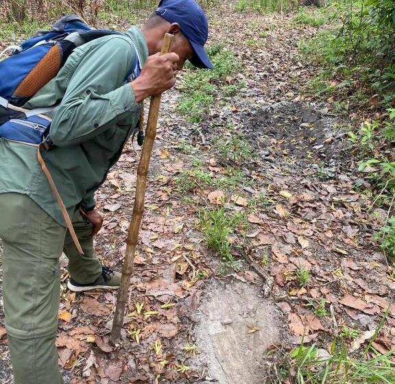 هاستل Happy Lemon Tree Lodge