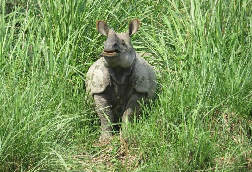 هاستل Happy Lemon Tree Lodge