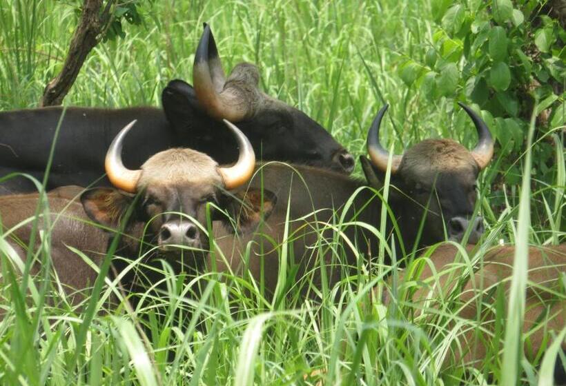 هاستل Happy Lemon Tree Lodge