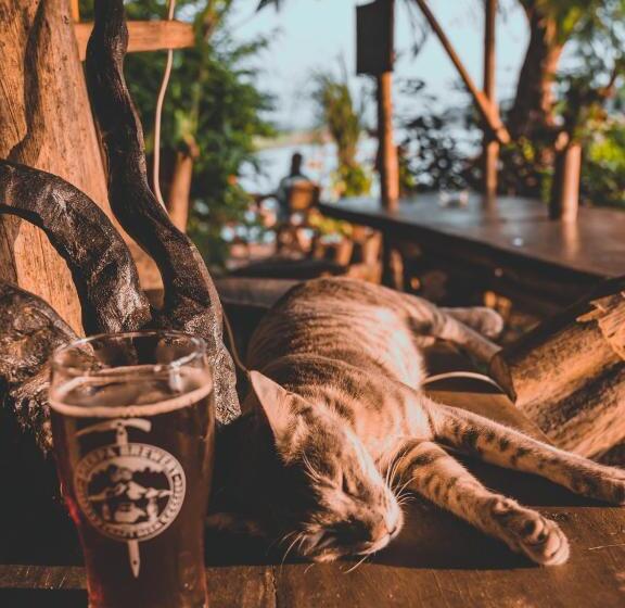 هاستل Happy Lemon Tree Lodge