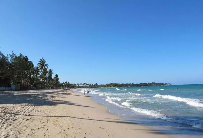 ペンション City Guest Inn