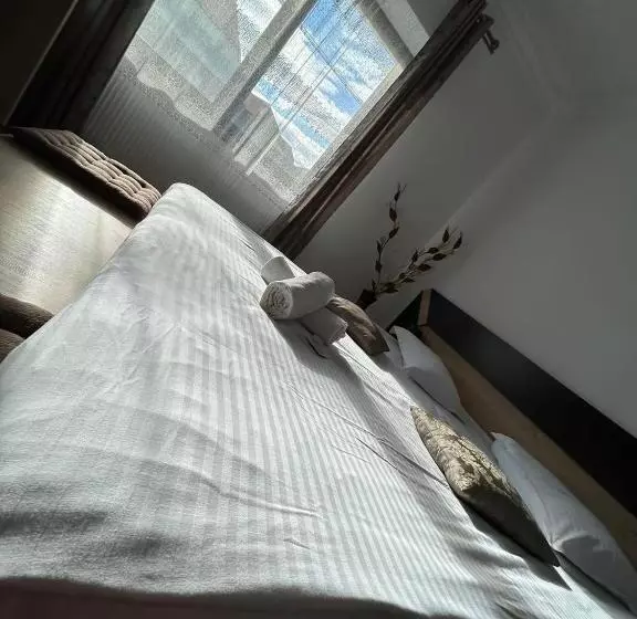 ペンション Vila Lion