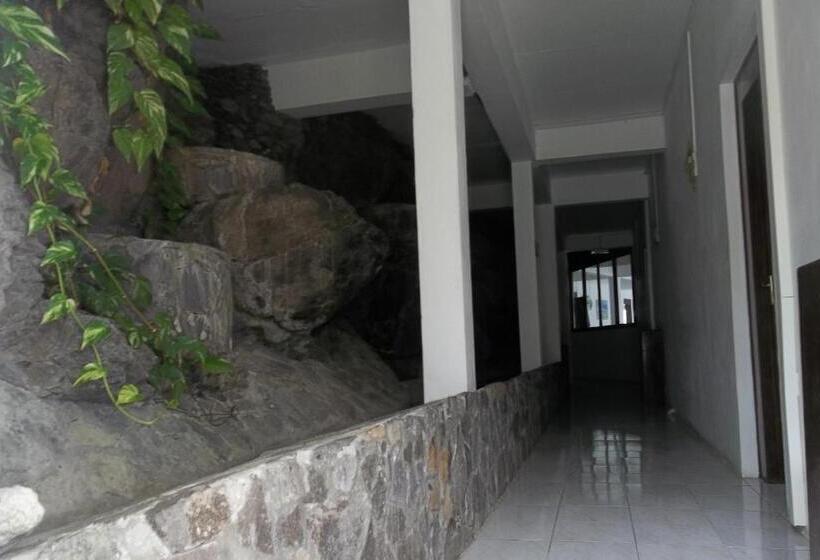 Pensão Le Recif Hotel Rodrigues