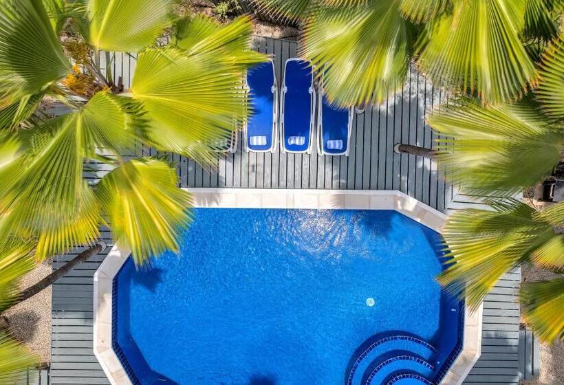 هتل Tropical Divers Resort