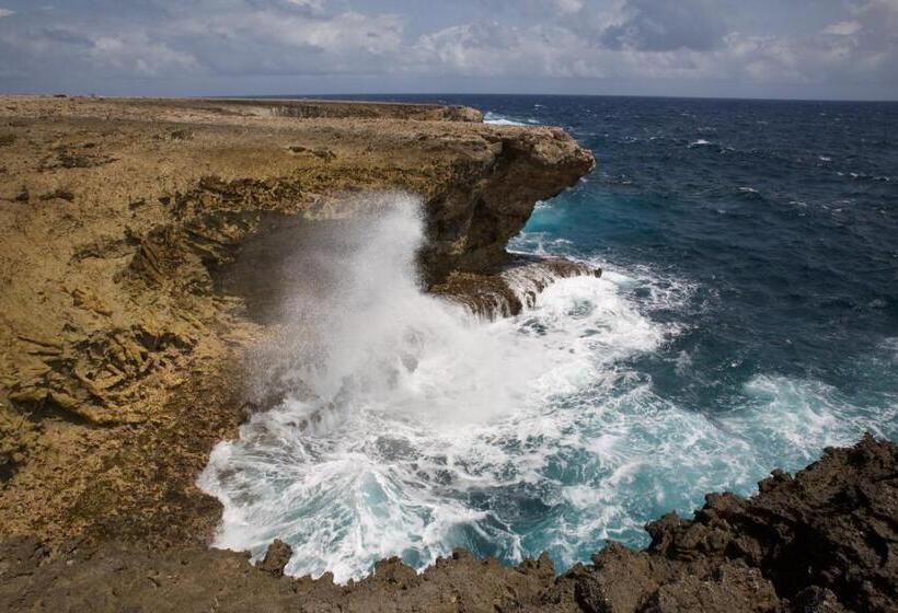 هتل Tropical Divers Resort