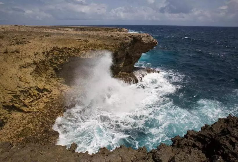 هتل Tropical Divers Resort