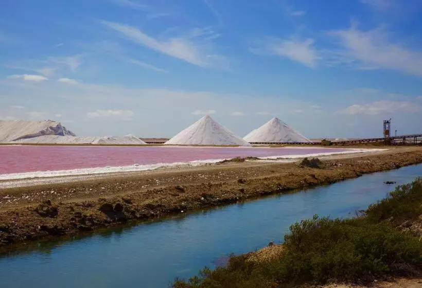 هتل Tropical Divers Resort