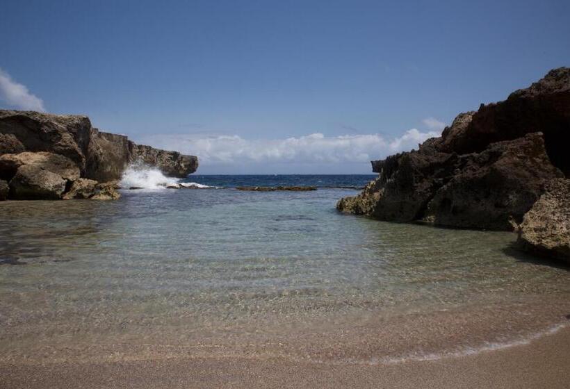 هتل Tropical Divers Resort