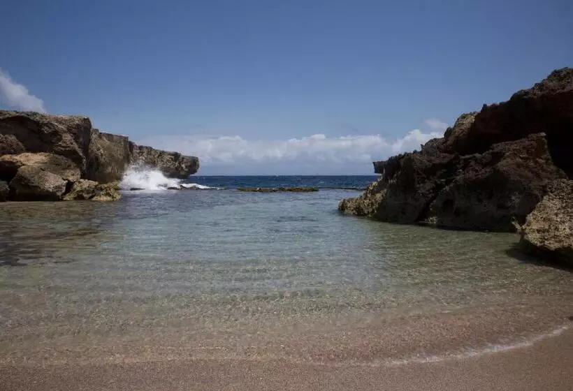 هتل Tropical Divers Resort