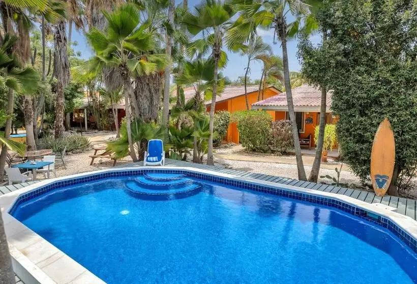 هتل Tropical Divers Resort