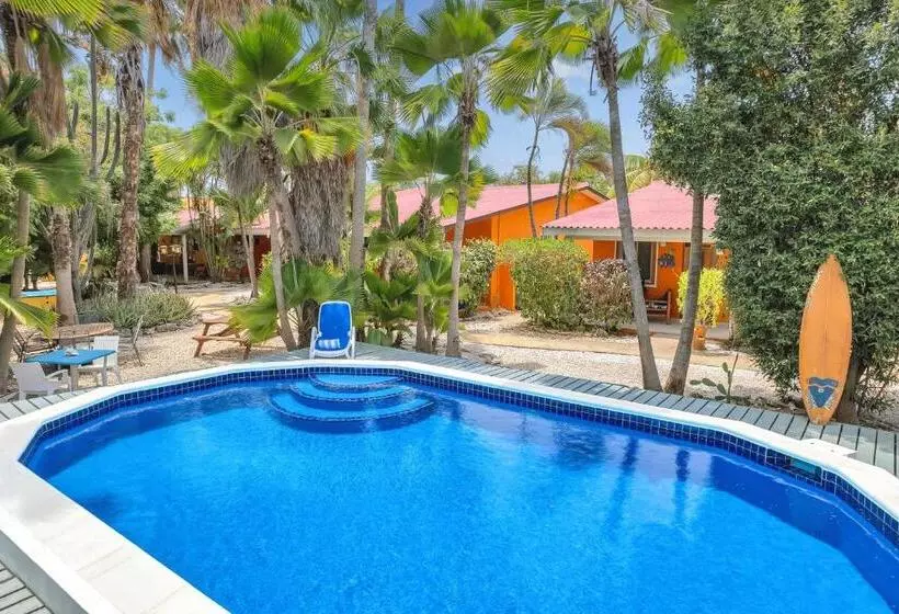 هتل Tropical Divers Resort