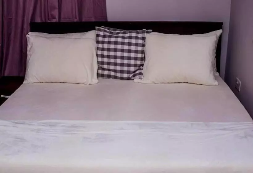 ペンション Danritzcer Suites
