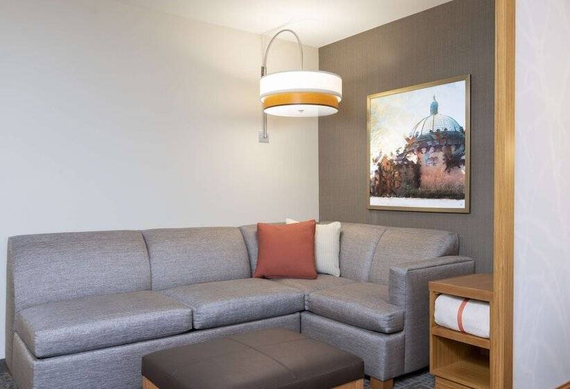 酒店 Hyatt Place Detroit/royal Oak