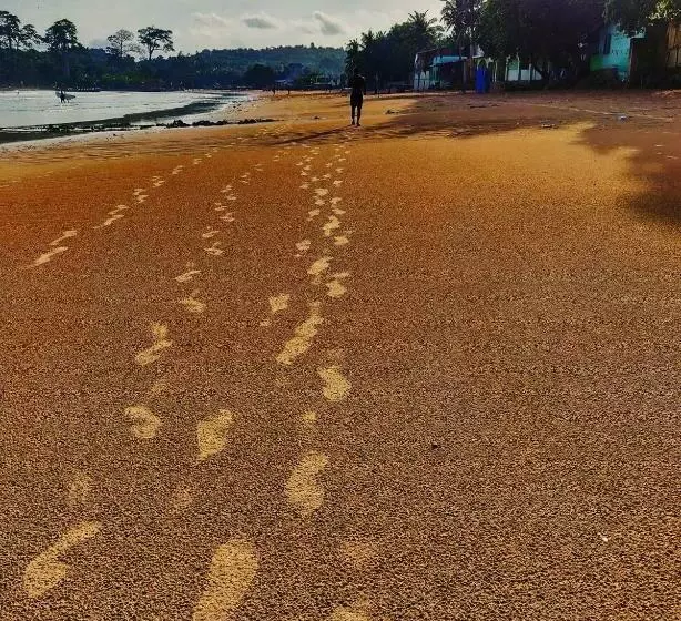 Hotelli Serenity Haven Lodge