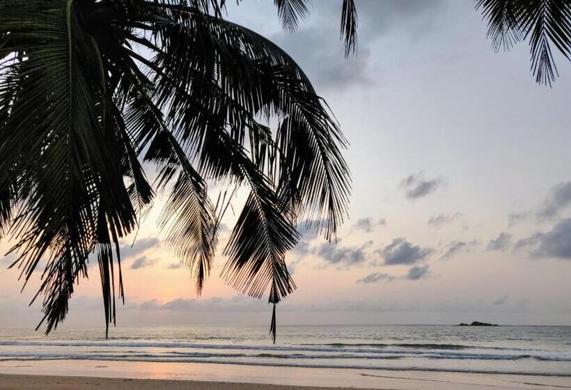 فندق Serenity Haven Lodge