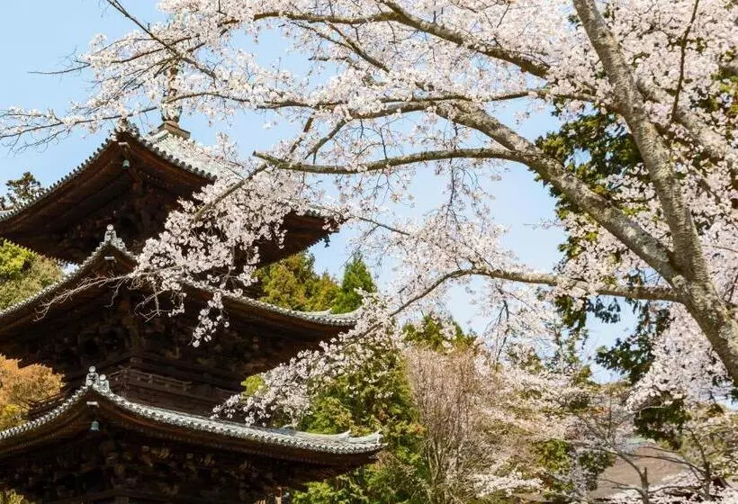 Temple Stay Waqoo Mii Dera