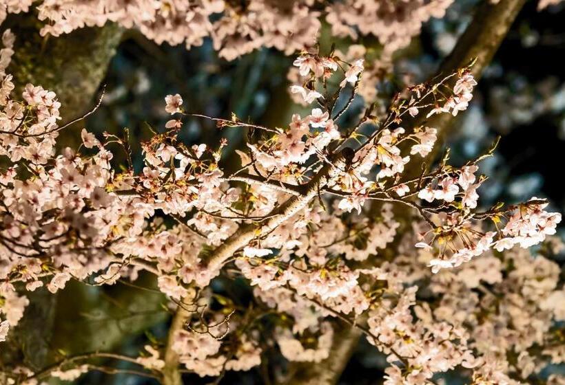 Temple Stay Waqoo Mii Dera