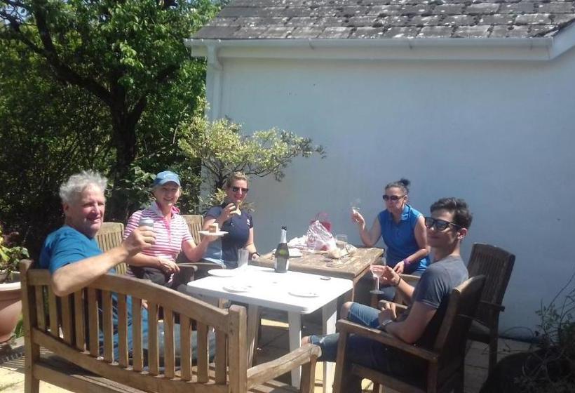 Hills Farm B&b Laugharne