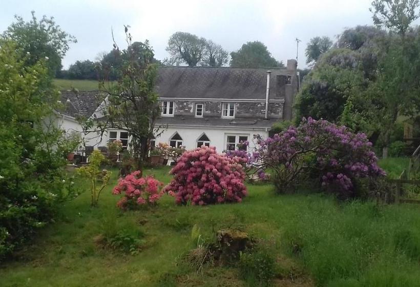 Hills Farm B&b Laugharne